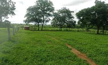 Imagem 7: FAZENDA À VENDA EM NORTE DE MINAS