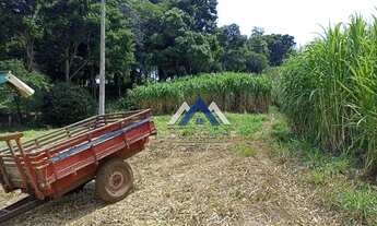 Imagem 7: Sítio à venda, 12,5 Alqueires por R$ 1.750.000 - Centro - Assaí/PR