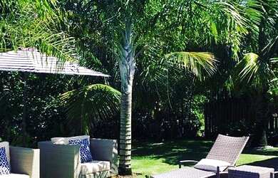 Imagem 4: Casa a venda em praia do forte