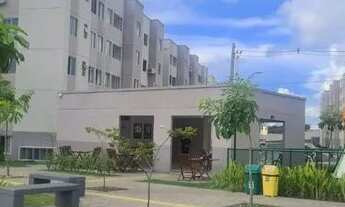 Imagem 5: Alugo um Lindo Apartamento no Condomínio Viva Vida Flores