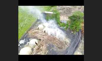 Imagem 5: Serraria completa em Rorainopolis rr