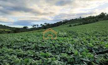 Imagem 6: Terreno Rural 140.000m² com 8 hectares de lavoura pronta em Campo Belo do Sul - SC