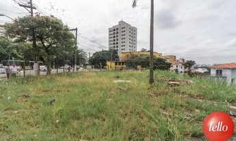 Imagem 5: São Paulo - Terreno Padrão - Vila Romana