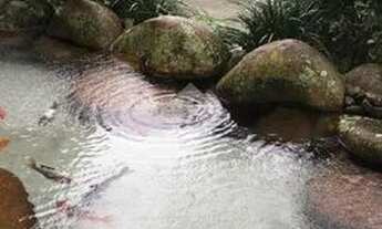 Imagem 3: Casa para aluguel, 4 quartos, 1 suíte, 5 vagas, Quintino - Timbó/SC