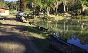 Imagem 2: Sítio em Rancho Queimado, nascentes, belo visual, pastagem, roça, cachoeira 51 Hectares