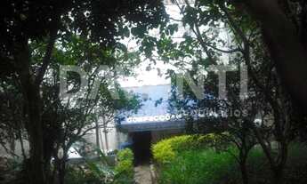 Imagem 3: Galpão - Ponte Preta - Campinas