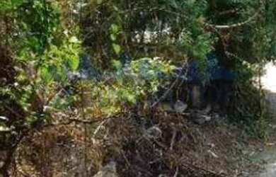 Imagem 2: Freguesia (Jacarepaguá