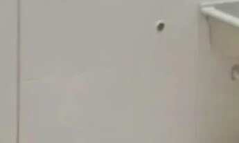 Imagem 7: Imóvel para aluguel tem 60 metros quadrados com 2 quartos em Vila Scarpelli - Santo André