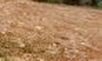 Imagem 2: Vendo lote de 1760m2 na ponte alta norte