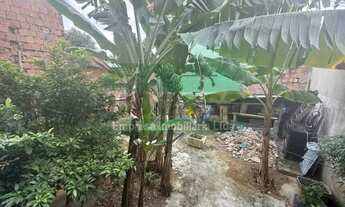 Imagem 3: Casa de rua : / Residencial / Japiim