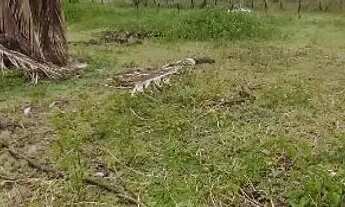 Imagem 2: Terreno em bonito -piacabucu