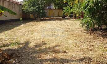 Imagem: Terreno/Padrão - Residencial - Comendador