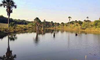 Imagem 5: Sítio 2,0 alqueires, muita água, entre Uberlândia e Monte Alegre