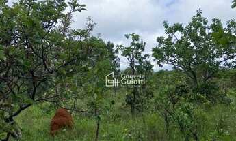 Imagem 2: Confira esta oportunidade imperdível de chácara disponível em Anápolis-GO! APENAS 14Km de