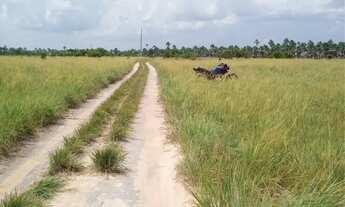 Imagem: Vende-se ou troca-se por terreno na cidade