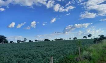 Imagem: Sítio na região de Prata Minas Gerais