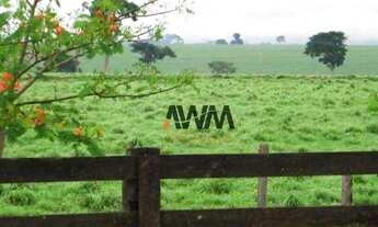 Imagem 4: Fazenda à venda, 21000 m² por R$ 450.000.000,00 - Novo Diamantino - Diamantino/MT