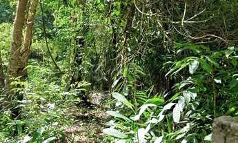 Imagem 3: Terreno belíssimo a 6 minutos do mar de Moreré