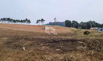 Imagem 7: Terreno com 30.000 m2 no distrito industrial de São Francisco de Paula
