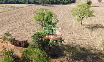 Imagem 4: Chácara 2,65 alqueires (12,83 hectares) Palmeiras De Goiás - Go