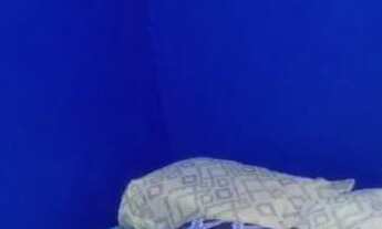 Imagem: Quarto mobiliado para homem solteiro compartilhado