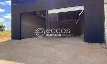 Imagem: Galpão para aluguel, Shopping Park - Uberlândia/MG