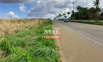 Imagem 4: Chácara 4 alqueires (19,72 hectares) Goianira -Go