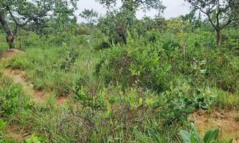 Imagem 2: Fazenda 158 hectares valor 1.120.000