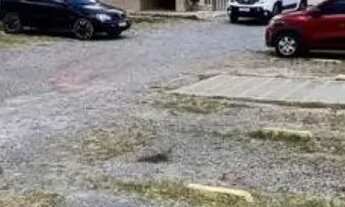 Imagem 5: Apartamento com 2 Quartos em Jardim Atlântico, Olinda