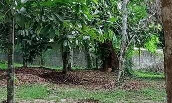 Imagem 6: Aluguel -mensal/2.000