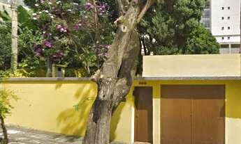 Imagem: Terreno à venda Campestre - Santo André