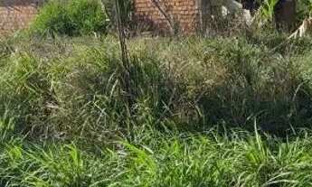 Imagem: Vendo terreno