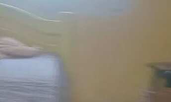 Imagem 2: Enseada dos corais