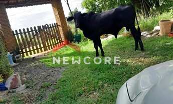 Imagem: Chácara em Porangaba - Área Rural de Porangaba