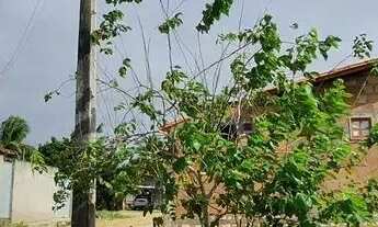 Imagem 4: Flor do Genipapo, lotes com excelente localização, em até 26 vezes, em Sapeaçu