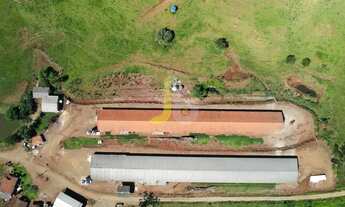 Imagem 3: Sítio com 2 Aviários a venda