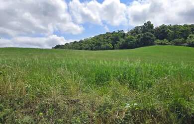 Imagem: Imóvel para venda com 100000 metros quadrados