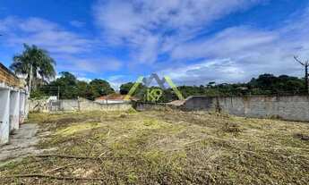 Imagem 7: TERRENO COM 460 M² (16 DE FRENTE) PLANO NO SÃO GABRIEL EM COLOMBO