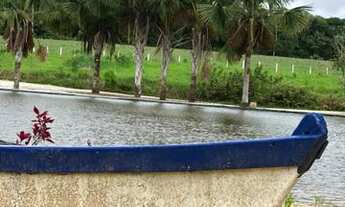 Imagem 5: Chácara para aluguel ou temporada em bragança/pa