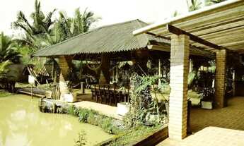 Imagem 7: BARRA VELHA - Chácara - Medeiros