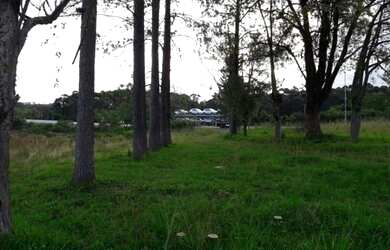 Imagem 5: Pelotas - Terreno Padrão - Distrito Ponte Cordeiro de Farias