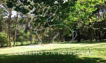 Imagem 3: São Paulo - Chácara - Riviera Paulista