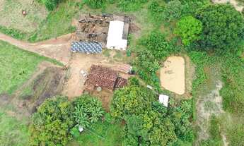 Imagem 3: Propriedade de 15 alqueires