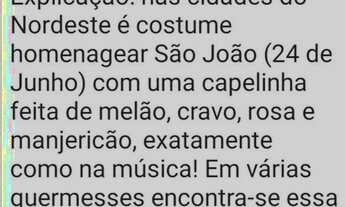 Imagem 4: Homer Captações] --1693905