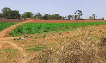 Imagem 3: N01- Terrenos de 450mtrs localizados em área bem centralizada ótimo para investimento