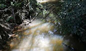 Imagem 3: Sítio para venda em Itapetininga tem 2 alqueires, com casa e tanque