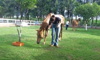 Imagem 4: ECO RESIDENSIAL SONIA FERNANDES - LOTEAMENTO DE CHACARAS COM 500m² AO LADO DE FAZENDA DE E