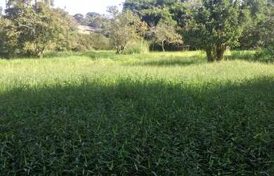 Imagem 6: Terreno 39600m2 Marilândia perto SESC, excelente para empreendimentos