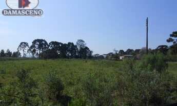 Imagem 5: Terreno à venda por R$ 7138000.00, 115000.00 m2 - BORDA DO CAMPO - SAO JOSE DOS PINHAIS/PR