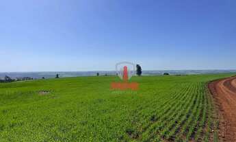 Imagem 4: Fazenda à venda 64 Alqueires por R$ 17.600.000 - São Jeronimo da Serra/PR